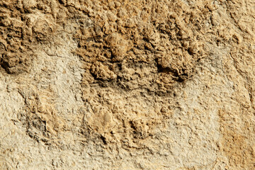 Pared cemento