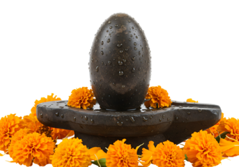 Shiva Lingam with marigold flowers on a white background.