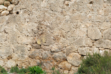 Pared piedra
