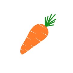 Cartoon carrot illustration. Hand-drawn carrot vegetable icon. Carrot fruit symbol and orange slice.