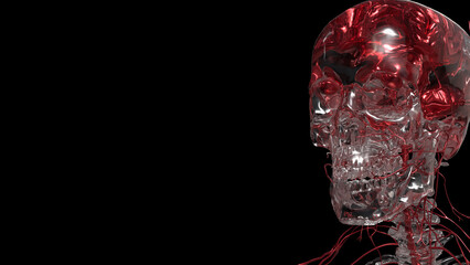 The Crystal Skelton for Sci or education concept 3d Rendering.