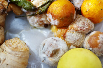 Macro of white hairy fungus growth on rotten citrus fruit