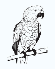Another detailed black and white vector outline of a large parrot perched. The emphasis is on texture and line work, making it suitable for high-quality print design, logo creation