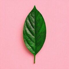 Close-up of a vibrant green leaf, bisected, set against a soft pink background