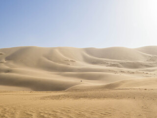 Hongor Sand Dunes, Gobi Desert, Mongolia
