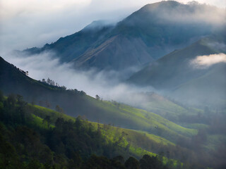 mountains in the fog. mountain, landscape, sky, mountains, nature, clouds, cloud, alps, view, travel, forest, hill, panorama, snow, green, valley, trees, fog, peak, high, outdoors, summer, alpine, eur