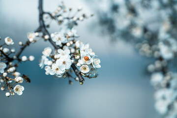 christmas tree decoration