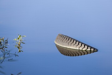 Old discarded tire in calm water.
