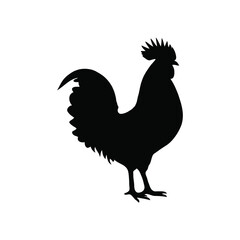 black and white hen art desigan.eps