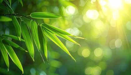 Sunlit Bamboo Leaves with Bokeh and Flare in Green Tones Macro Shot