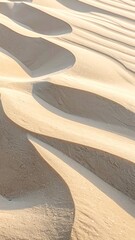 Sunlit Desert Dunes with Warm Shadows Vertical Panorama of Rippled Sand Texture in Neutral Beige and Brown Tones Under Bright Sunlight Creating Dramatic Shadows