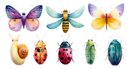 Colorful Hand-Drawn Insects and Snails on Transparent Background for Art Projects