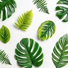 Overhead view of assorted vibrant green tropical leaves scattered on a clean white backdrop