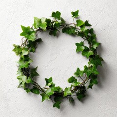 Lush green ivy wreath on a textured white background, centered, natural light