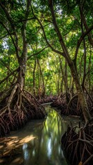 Sunlit Mangrove Forest with Root Systems and Calm Waters Reflecting Lush Green Canopy in a Vertical Composition