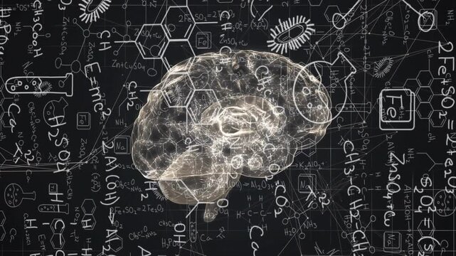 3D neural brain model appearing on chalkboard formulas rotating and pulsing to visualize chemistry