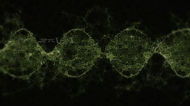Floating equations initiating green lattice nodes growing into fractal wave showing data