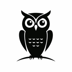 Fototapeta premium owl icon design