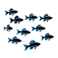 School of dark blue fish swimming together on a black background