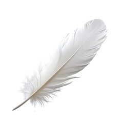 Obraz premium Delicate, fluffy white feather isolated on black background