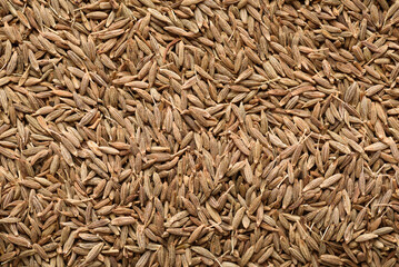 Cumin seeds background texture, spice ingredient for Asian cooking such as Thai and Indian food