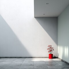 Empty room with a red pot plant. Sunlight casts shadows on a white wall