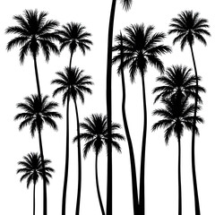 Silhouetted black palm trees with sparkling lights against dark