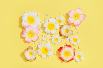 Beautiful plumeria flowers and stones on yellow background