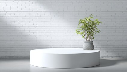 White circular pedestal with a small plant in front of a white brick wall