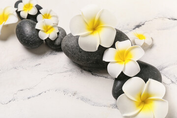 Beautiful plumeria flowers with pebble stones on white background, closeup