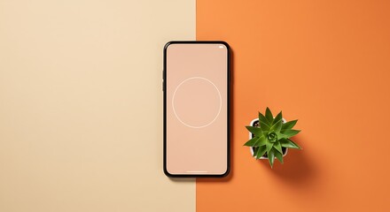 Modern smartphone mockup on color block background with succulent plant