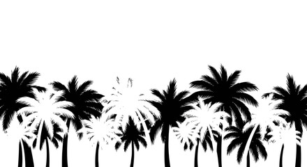 Black and white palm trees silhouette landscape for tropical background