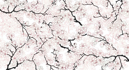 Delicate cherry blossom branches with abundant soft pink flowers.