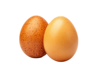 Two brown eggs isolated on black background closeup, Isolated On Transparent Background, Png