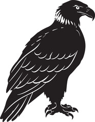 Obraz premium Black silhouette of an eagle standing, isolated on white background