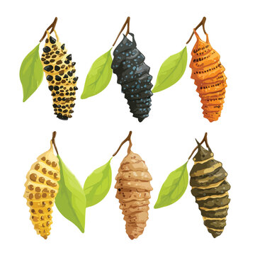 Silhouette of a bagworm creature in a protective case isolated on a white background for design elements isolated on white background