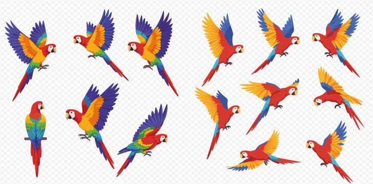 A collection of vibrant cartoon macaws in different flying and perching positions, showcasing their colorful plumage against a transparent background.