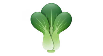 Fresh Green Bok Choy Illustration On Black Background