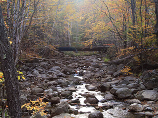Walking Footbridge Late Autumn Foliage Dry River Drought Orange and Gold Leaves along Boulders  along Moss Stones