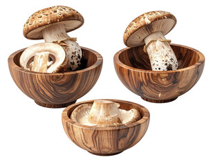 Three wooden bowls, each containing a mushroom