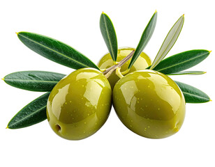 Close-up of three olives on branch with leaves