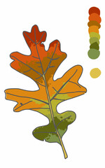 Fototapeta premium Autumn oak leaf with Gradient color and color palette on a white background, vector illustration