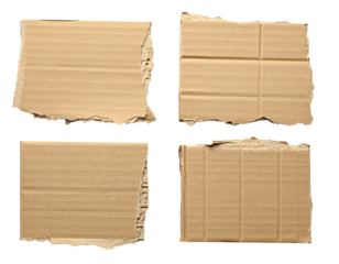 Four pieces of torn cardboard