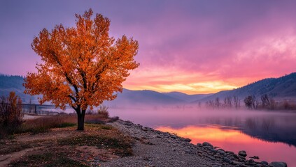 Autumnal Sunrise over a Misty River