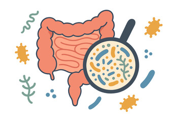 Gut microbiome concept. Human intestine microbiota with healthy probiotic bacteria. Digestive system research with magnifying glass. Gut flora and digestion health analysis vector.