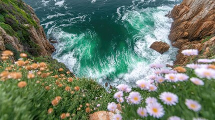 Top-down image of a coastal cliff in spring, wildflowers blooming near the edge, waves crashing below, vibrant seasonal colors 