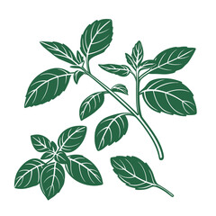 Spices & Herbs Color Illustrations Pack – Garlic, Ginger, Chili, Cinnamon, Cloves, Turmeric, Basil, Mint, Parsley, Rosemary Flat Vector Set