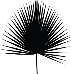 black silhouette tropical palm leaf isolated botanical illustration vector design nature foliage exotic plant abstract shape decorative artwork graphic