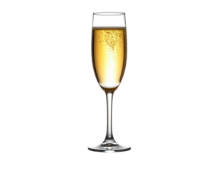 Champagne glass illustration