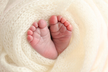 Soft feet of a newborn in a white woolen blanket. Close up of toes, heels and feet of a newborn baby